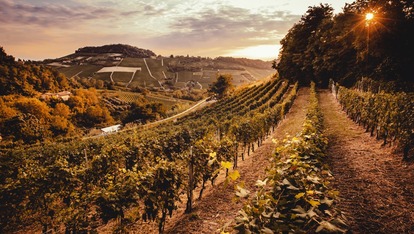 Lansering av vin Vino Piemonte AS.jpg